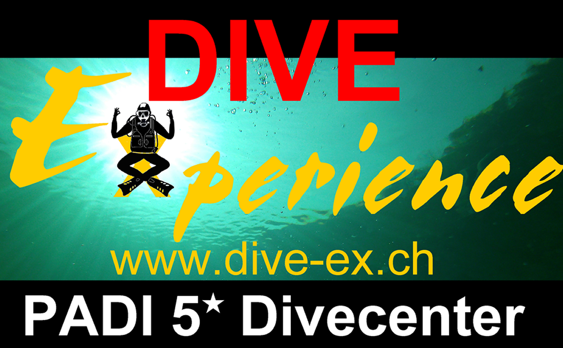 DiveExperience.png