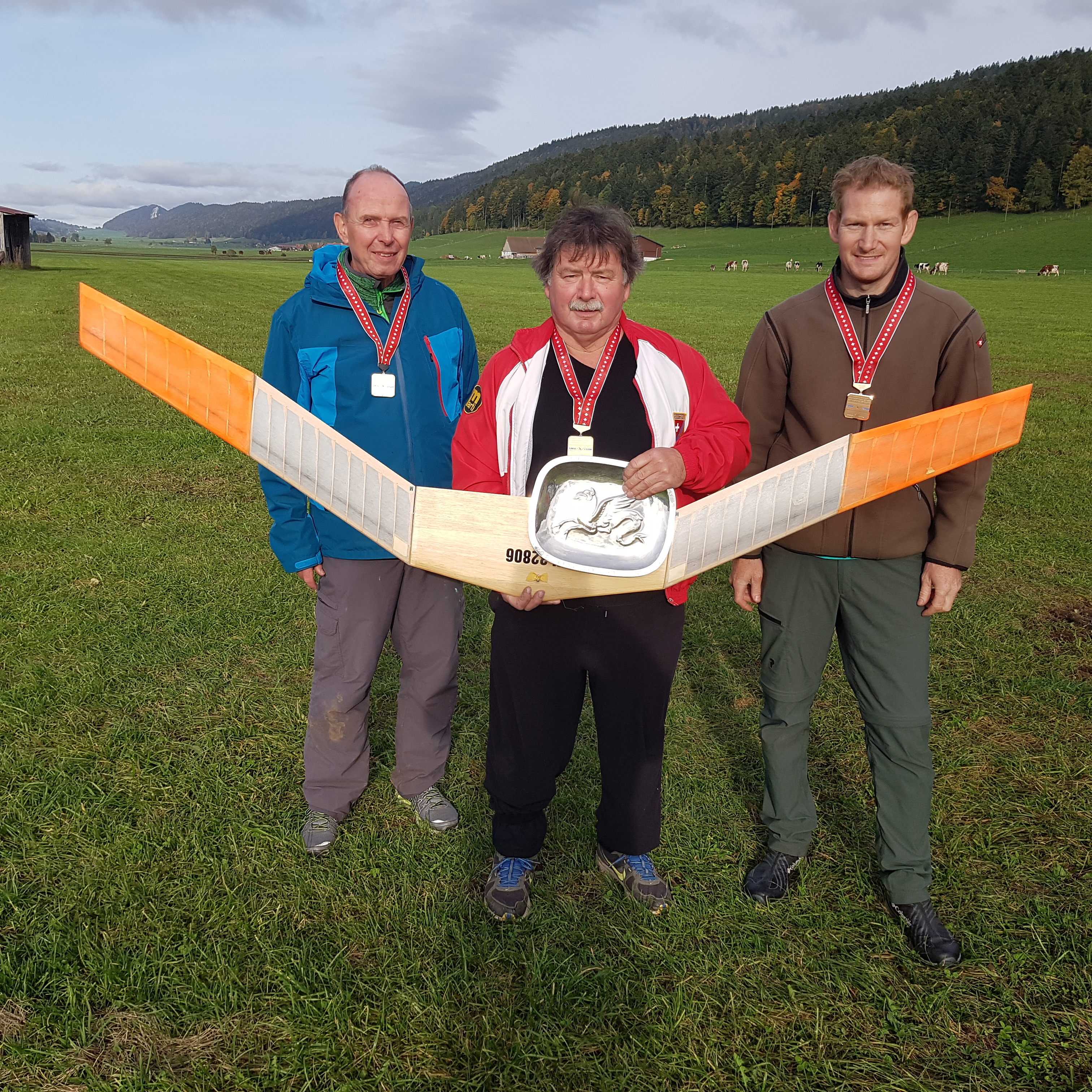 Schweizermeisterschaft F1A/SK