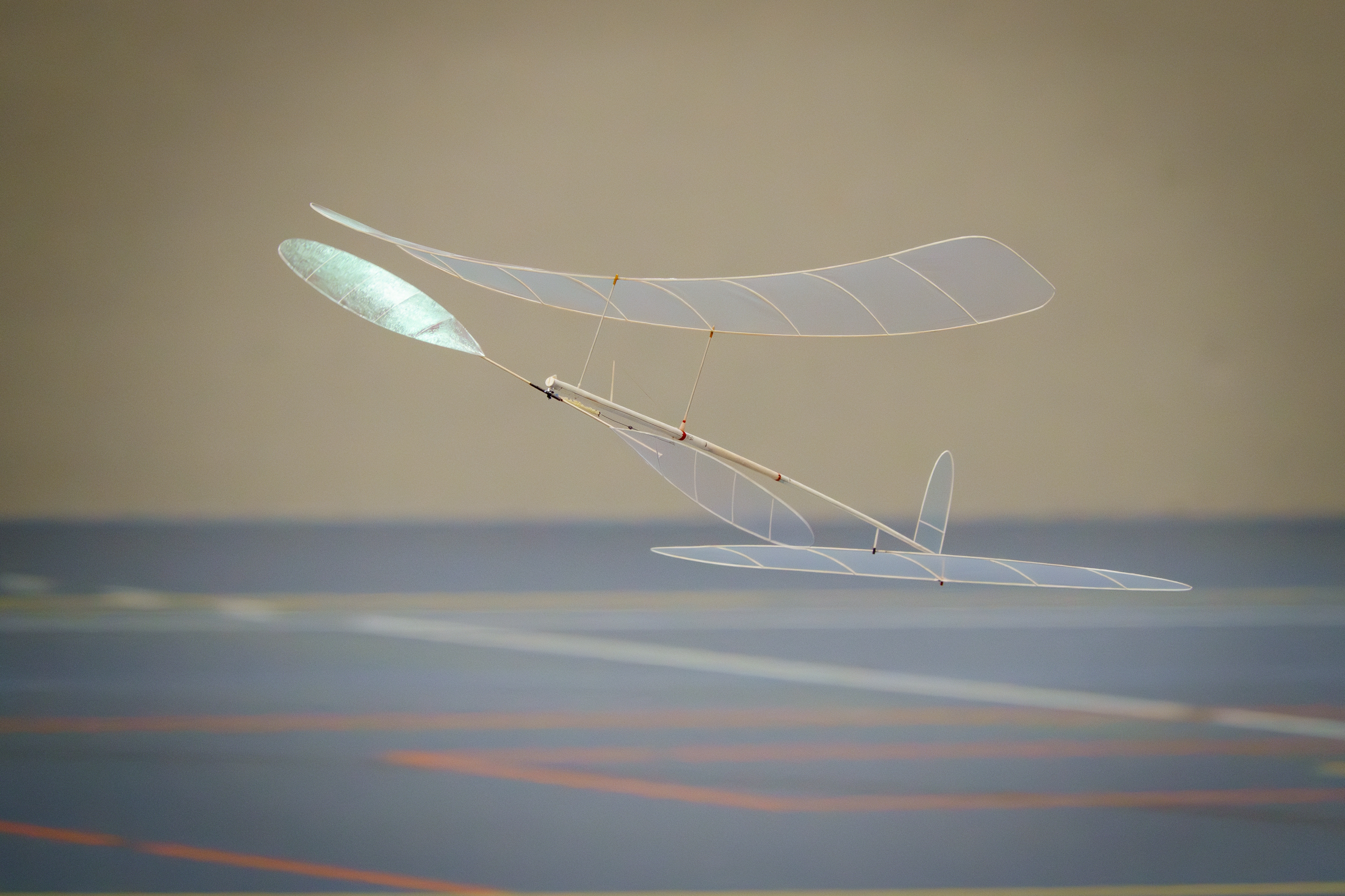 SM Saalflug 2026